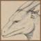 icon_dragon.jpg